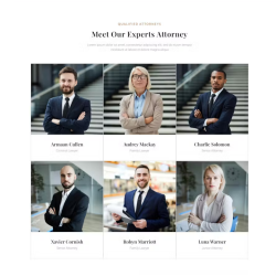 Defency – Law Firm & Lawyer